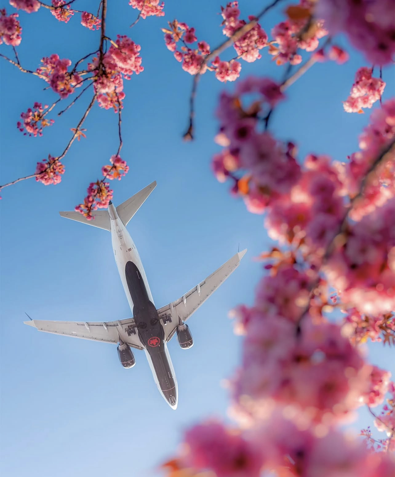 退役飞机如何处理-美国退役飞机协会